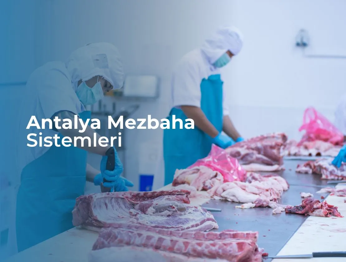 Antalya Mezbaha Sistemleri