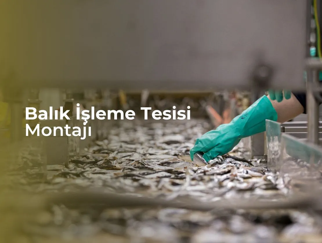 Balık İşleme Tesisi Montajı