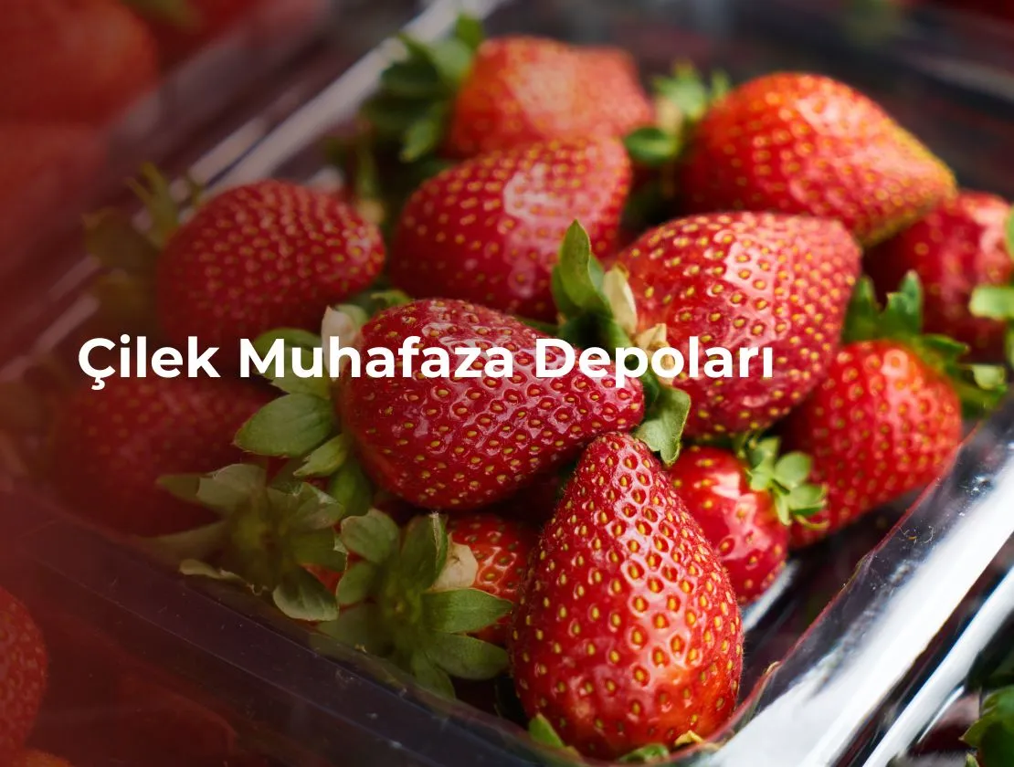 Çilek Muhafaza Depoları
