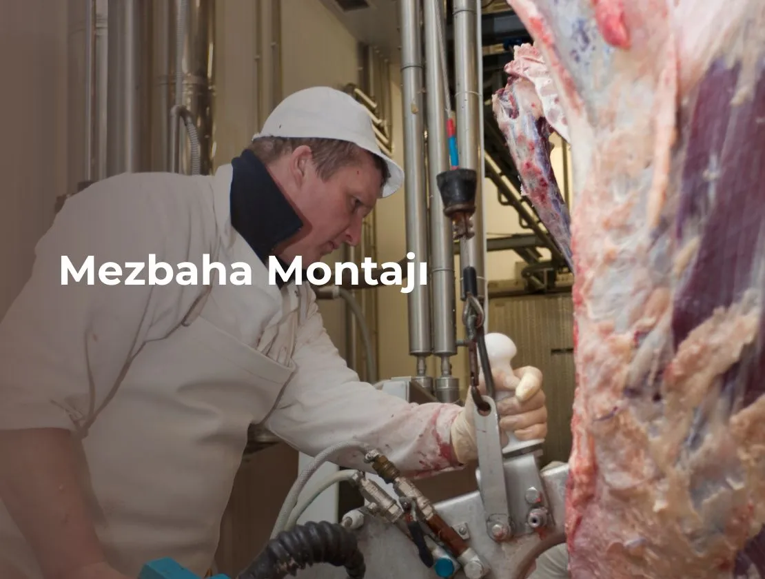 Mezbaha Montajı
