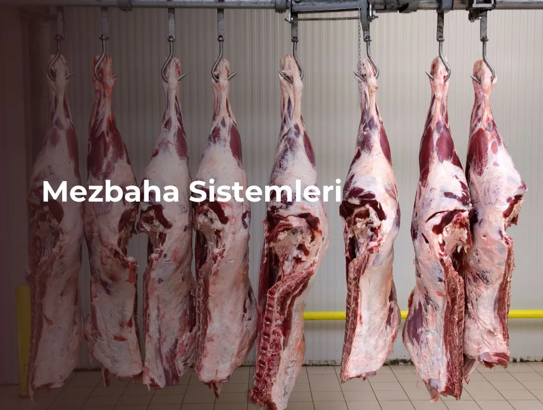 Mezbaha Sistemleri